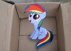 Size: 300x214 | Tagged: safe, derpibooru import, rainbow dash, pegasus, pony, fanfic:my little dashie, 2011, box, cute, female, filly, image, irl, mare, photo, png, ponies in real life, solo, vector