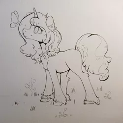 Size: 2992x2992 | Tagged: safe, artist:lightisanasshole, derpibooru import, izzy moonbow, butterfly, insect, unicorn, chest fluff, cute, ear fluff, ear piercing, earring, female, flower, fluffy, g5, grass, hoof fluff, image, izzybetes, jewelry, jpeg, leg fluff, lineart, necklace, photo, piercing, simple background, smiling, solo, solo female, traditional art, wip