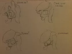 Size: 2048x1536 | Tagged: safe, artist:zombietator, derpibooru import, oc, oc:claire, unofficial characters only, earth pony, pony, bust, earth pony oc, expressions, image, jpeg, lineart, traditional art