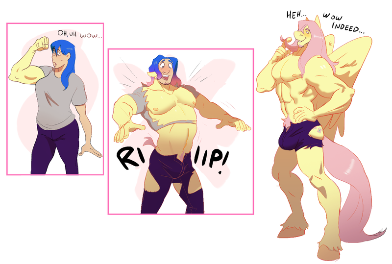 Size: 1483x1000 | Tagged: questionable, artist:chunkowitz, derpibooru import, fluttershy, oc, anthro, pegasus, unguligrade anthro, abs, biceps, blushing, butterscotch, clothes, crotch bulge, facial hair, female, female to male, flexing, goatee, growth, hair twirl, himbo, himboification, human to anthro, image, male, muscle growth, muscles, muscleshy, pecs, png, rule 63, transformation, transformation sequence, transgender transformation, wardrobe malfunction