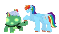 Size: 1280x732 | Tagged: safe, artist:itstechtock, derpibooru import, rainbow dash, tank, oc, oc:spectrum rush, pegasus, pony, colt, image, male, offspring, older, parent:rainbow dash, parent:soarin', parents:soarindash, png