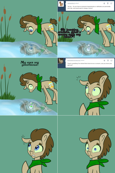 Size: 1302x1954 | Tagged: safe, artist:toadstool-prancer, derpibooru import, doctor whooves, time turner, oc, oc:tantamount, pony, disguise, disguised changeling, image, png, reed, reflection, solo, tantamount time turner