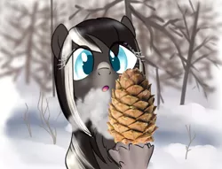 Size: 896x683 | Tagged: safe, artist:anonymous, derpibooru import, oc, oc:pine ponder, unofficial characters only, pony, taiga pony, breath, coconut, female, food, forest, image, looking at something, mare, pinecone, png, snow, tree