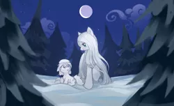 Size: 3615x2201 | Tagged: safe, artist:marbo, oc, oc:cirrus wisp, oc:niveous, unofficial characters only, earth pony, pony, taiga pony, /mlp/, crying, female, filly, fluffy, image, long mane, mare, night, open mouth, pine tree, png, smiling, snow, tree, white