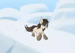 Size: 4960x3508 | Tagged: safe, artist:wapamario63, derpibooru import, oc, oc:frosty flakes, unofficial characters only, pony, taiga pony, chest fluff, female, fluffy, hoofprints, image, mare, open mouth, open smile, outdoors, png, running, smiling, snow, solo, three quarter view