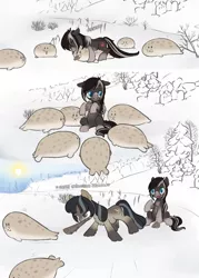 Size: 1080x1512 | Tagged: safe, artist:anonymous, derpibooru import, oc, oc:cold shoulder, oc:pine ponder, unofficial characters only, pony, seal, taiga pony, club, crying, female, forest, image, mare, pinecone, png, sun, surrounded, tree