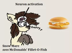 Size: 694x517 | Tagged: safe, artist:anonymous, derpibooru import, oc, unofficial characters only, pony, taiga pony, brown mane, female, fluffy, food, image, mare, meme, ms paint, png, sandwich, solo