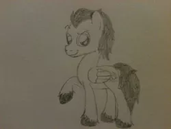 Size: 2048x1536 | Tagged: safe, artist:zombietator, derpibooru import, oc, unofficial characters only, pegasus, pony, image, jpeg, lineart, male, pegasus oc, raised hoof, smiling, solo, stallion, traditional art, unshorn fetlocks, wings