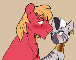 Size: 1280x1014 | Tagged: safe, artist:chub-wub, derpibooru import, big macintosh, zecora, earth pony, pony, zebra, bedroom eyes, blushing, ear piercing, earring, female, freckles, image, jewelry, jpeg, looking at each other, macora, male, neck rings, piercing, shipping, stallion, straight