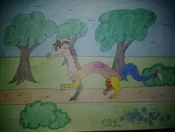 Size: 4160x3120 | Tagged: safe, artist:diamond06mlp, derpibooru import, oc, unofficial characters only, draconequus, atg 2018, draconequus oc, image, jpeg, male, newbie artist training grounds, outdoors, signature, solo, traditional art, tree