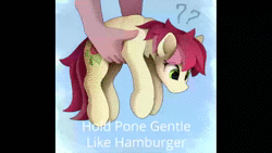 Size: 1920x1080 | Tagged: safe, artist:yakovlev-vad, derpibooru import, edit, editor:band sickle, lily, lily valley, roseluck, earth pony, human, pony, animated, behaving like a cat, burger, confused, cute, cuteluck, disembodied hand, female, food, hamburger, hand, holding a pony, hold x gentle like hamburger, image, mare, meme, offscreen character, question mark, rosabetes, rosepet, shitposting, sound, webm