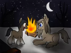 Size: 1600x1200 | Tagged: safe, artist:machacapigeon, derpibooru import, oc, oc:blizzard hearth, oc:permafrost, earth pony, pony, taiga pony, /mlp/, brother and sister, female, fireplace, foal, image, male, mare, moon, png, siblings, snow, stars, wood