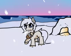 Size: 828x649 | Tagged: safe, artist:neuro, derpibooru import, oc, oc:puffins, unofficial characters only, earth pony, pony, taiga pony, blue eyes, female, filly, foal, igloo, image, mare, png, raised hoof, smiling, snow