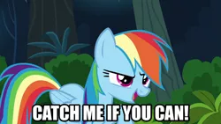 Size: 1280x720 | Tagged: safe, derpibooru import, edit, edited screencap, editor:jaredking203, screencap, rainbow dash, pegasus, pony, season 6, caption, female, image, image macro, mare, meme, png, text