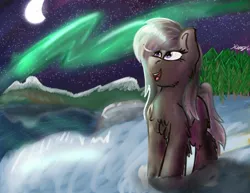 Size: 2048x1583 | Tagged: safe, artist:kalashnikitty, derpibooru import, oc, unofficial characters only, pony, taiga pony, aurora borealis, female, forest, image, jpeg, looking up, mare, moon, tree