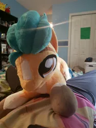 Size: 3024x4032 | Tagged: safe, artist:hellishnya, derpibooru import, photographer:joeydr, hitch trailblazer, earth pony, pony, blaze (coat marking), coat markings, facial markings, g5, image, irl, jpeg, male, photo, plushie, socks (coat marking), stallion