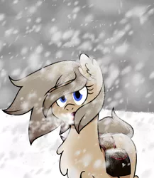 Size: 1300x1500 | Tagged: safe, artist:machacapigeon, derpibooru import, oc, oc:blizzard hearth, unofficial characters only, pony, taiga pony, bag, blizzard, female, hair blowing, image, mare, png, saddle bag, snow, snowfall
