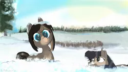 Size: 1920x1080 | Tagged: safe, artist:davierocket, derpibooru import, oc, oc:cold shoulder, oc:winter wonder, unofficial characters only, pony, taiga pony, chest fluff, cloud, female, forest, image, jpeg, looking at you, mare, shrub, snow, tree