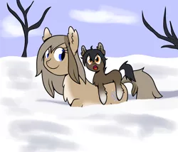 Size: 1400x1200 | Tagged: safe, alternate version, artist:machacapigeon, derpibooru import, oc, oc:blizzard hearth, oc:permafrost, unofficial characters only, pony, taiga pony, /mlp/, brother and sister, chest fluff, cloud, coat markings, colt, cute, ear fluff, ears, excited, female, fluffy, foal, image, looking at something, male, mare, open mouth, pale belly, png, ponies riding ponies, riding, siblings, snow, socks (coat marking), tree