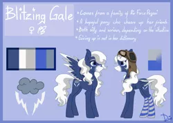 Size: 3000x2146 | Tagged: safe, artist:lambydwight, derpibooru import, oc, oc:blitzing gale, pegasus, pony, image, png, reference sheet