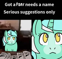 Size: 1256x1191 | Tagged: safe, artist:rainbow-douch, derpibooru import, lyra heartstrings, ponified, pony, unicorn, caption, female, food, image, image macro, mare, meme, oats, png, ponified meme, solo, text