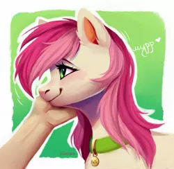Size: 2039x1988 | Tagged: safe, artist:pilushka, derpibooru import, roseluck, human, pony, behaving like a cat, collar, commission, commissioner:doom9454, cute, cyrillic, hand, image, jpeg, pet tag, petting, pony pet, purring, rosepet, russian, translated in the description