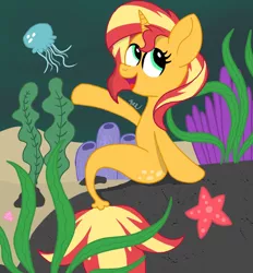Size: 1280x1379 | Tagged: safe, artist:doct0rnop3, derpibooru import, sunset shimmer, jellyfish, pony, seapony (g4), starfish, unicorn, coral, dorsal fin, female, fish tail, flowing tail, green eyes, horn, image, jpeg, ocean, open mouth, open smile, rock, seaponified, seapony sunset, seaweed, signature, sitting, smiling, solo, species swap, tail, underwater, water