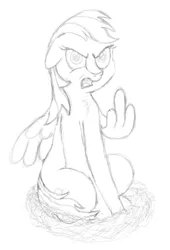 Size: 1280x1878 | Tagged: safe, artist:pony-thunder, derpibooru import, rainbow dash, bird, angry, bird nest, image, jpeg, middle feather, middle finger, sketch, vulgar, wing hands, wings, wip