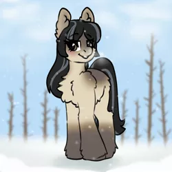 Size: 2000x2000 | Tagged: safe, artist:spoopygander, derpibooru import, oc, oc:cold shoulder, unofficial characters only, earth pony, pony, taiga pony, female, image, jpeg, solo