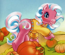 Size: 1137x961 | Tagged: safe, artist:lyn fletcher, derpibooru import, official, cotton candy (g3), earth pony, pony, autumn, clothes, female, g3, image, mare, png, pumpkin, scan, solo, sweater, the perfect pumpkin