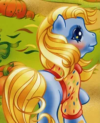 Size: 1017x1249 | Tagged: safe, derpibooru import, official, autumn skye, earth pony, pony, autumn, female, from behind, g3, image, mare, png, pumpkin, scan, solo, the perfect pumpkin