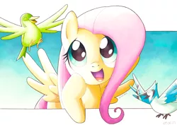 Size: 5787x4093 | Tagged: safe, artist:konanachi, derpibooru import, fluttershy, bird, pegasus, pony, female, image, mare, png