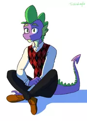 Size: 1000x1400 | Tagged: safe, artist:tralalayla, derpibooru import, spike, anthro, dragon, argyle, clothes, image, male, pants, png, shirt, shoes, sitting, solo, vest