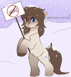 Size: 3115x3387 | Tagged: safe, artist:vetta, derpibooru import, oc, oc:frosty flakes, unofficial characters only, earth pony, fish, pony, taiga pony, bipedal, female, holding sign, image, png, sign, solo