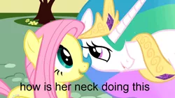 Size: 1000x563 | Tagged: safe, derpibooru import, edit, edited screencap, screencap, alicorn, pegasus, pony, a bird in the hoof, season 1, caption, crown, eyelashes, horn, image, jewelry, long neck, looking at each other, open mouth, open smile, peytral, png, regalia, smiling, smiling at each other, text