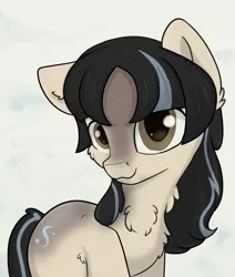 Size: 2200x2600 | Tagged: safe, artist:dumbwoofer, derpibooru import, oc, oc:cold shoulder, unofficial characters only, pony, taiga pony, /mlp/, blaze (coat marking), chest fluff, coat markings, cute, ear fluff, ears, facial markings, female, floppy ears, fluffy, image, looking at you, mare, png, solo