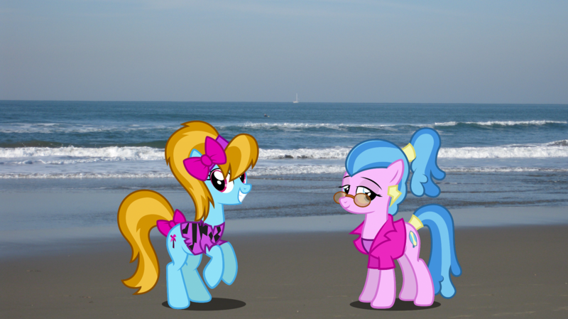 Size: 1920x1078 | Tagged: safe, artist:tsabak, derpibooru import, surf, turf, earth pony, pony, beach, bow, california, clothes, female, image, irl, mare, photo, png, ponies in real life, san francisco, sunglasses, tail, tail bow