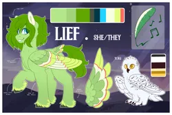 Size: 3000x2000 | Tagged: safe, artist:liefsong, derpibooru import, oc, oc:lief, unofficial characters only, bird, owl, pegasus, chest fluff, colored wings, feathered fetlocks, image, multicolored wings, pet, png, pronouns, reference, reference sheet, snowy owl, tail, tail feathers, wings