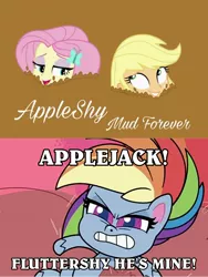 Size: 1717x2289 | Tagged: safe, derpibooru import, applejack, fluttershy, rainbow dash, driving miss shimmer, equestria girls, equestria girls series, fluttershy's butterflies, my little pony: pony life, spoiler:pony life s02e20, angry, gritted teeth, image, jpeg, little miss fortune, quicksand, rage, rainbow dash is not amused, unamused