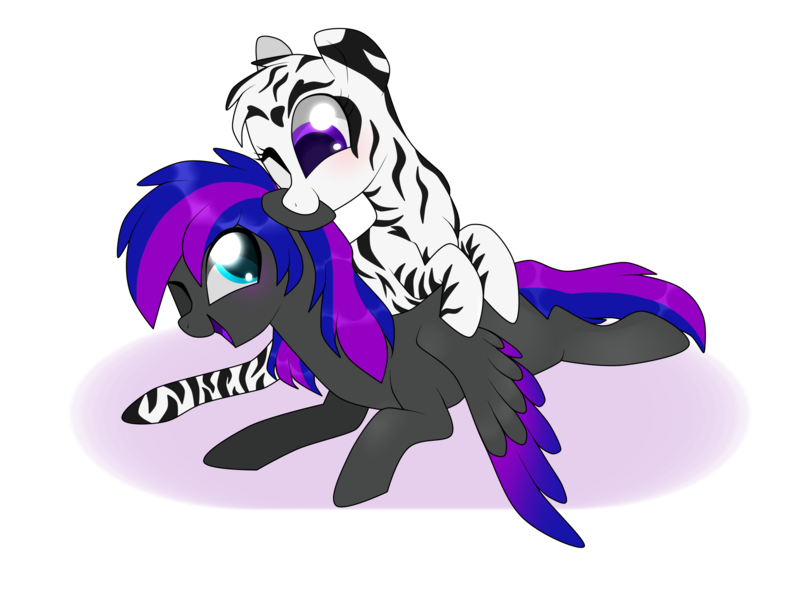 Size: 2592x1944 | Tagged: safe, artist:kaikururu, derpibooru import, oc, unofficial characters only, pegasus, zebra, duo, eyelashes, image, one eye closed, pegasus oc, png, simple background, transparent background, wings, wink, zebra oc