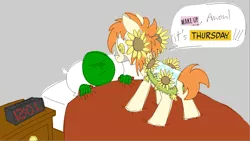 Size: 2320x1306 | Tagged: safe, artist:skookz, derpibooru import, oc, oc:anon, oc:thursday, unofficial characters only, earth pony, human, pony, bed, cloak, clothes, duo, female, flower, image, mare, png, simple background, speech bubble, sunflower, text, thursday