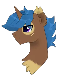 Size: 1509x1961 | Tagged: safe, artist:kaikururu, derpibooru import, oc, unofficial characters only, pony, unicorn, chest fluff, ear fluff, horn, image, male, png, simple background, smiling, solo, stallion, transparent background, unicorn oc