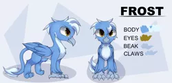 Size: 5800x2800 | Tagged: safe, artist:starmaster, derpibooru import, oc, oc:frost wing, gryphon, commission, griffon oc, happy, image, looking at you, png, reference sheet, solo, wings