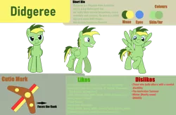 Size: 1280x840 | Tagged: safe, artist:didgereethebrony, derpibooru import, oc, oc:didgeree, pegasus, pony, cutie mark, image, png, reference sheet, simple background, solo, transparent background