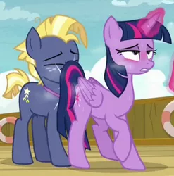 Size: 792x802 | Tagged: suggestive, edit, edited screencap, editor:anonymous, screencap, star tracker, twilight sparkle, twilight sparkle (alicorn), alicorn, pony, once upon a zeppelin, blushing, bump, butt bump, estrus, eyes rolling back, female, image, male, mare, png, stallion, steam, sweat