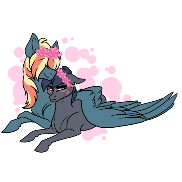 Size: 1000x1000 | Tagged: safe, artist:riotlizard, derpibooru import, oc, oc:aerostorm, oc:bruce, earth pony, pegasus, pony, blushing, gay, hair over eyes, hug, image, lying down, male, oc x oc, offspring, offspring shipping, parent:dumbbell, parent:rainbow dash, parents:dumbdash, png, prone, shipping, simple background, stallion, transparent background, wing blanket, winghug, wings