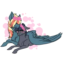 Size: 1000x1000 | Tagged: safe, artist:riotlizard, derpibooru import, oc, oc:aerostorm, oc:bruce, earth pony, pegasus, pony, blushing, gay, hair over eyes, hug, image, lying down, male, oc x oc, offspring, offspring shipping, parent:dumbbell, parent:rainbow dash, parents:dumbdash, png, prone, shipping, simple background, stallion, transparent background, wing blanket, winghug, wings