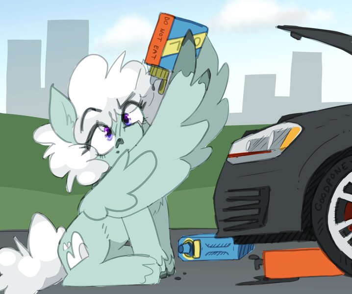 Size: 2000x1672 | Tagged: safe, artist:rellopone, derpibooru import, oc, unofficial characters only, pegasus, pony, car, chest fluff, hooves, image, jpeg, pegasus oc, raised eyebrow, sitting, solo, wing hands, wings