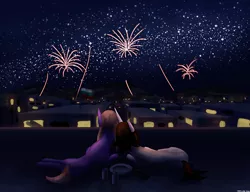 Size: 3250x2500 | Tagged: safe, artist:trotski432, derpibooru import, oc, oc:cj, unofficial characters only, balcony, behind, building, bulgaria, can, city, commission, duo, fireworks, flag, flag pole, happy new year, holiday, image, looking away, lying down, mountain, night, phone, plate, png, prone, sky, stars