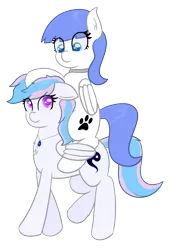 Size: 1544x2241 | Tagged: safe, artist:eyeburn, derpibooru import, oc, oc:snow pup, oc:starburn, pegasus, pony, derpibooru community collaboration, 2022 community collab, chest fluff, collar, ear fluff, female, floppy ears, hoof on head, image, jewelry, lifted leg, looking at each other, looking at someone, mare, necklace, piggyback ride, png, ponies riding ponies, pony ride, riding, simple background, transparent background, wing hold, wings